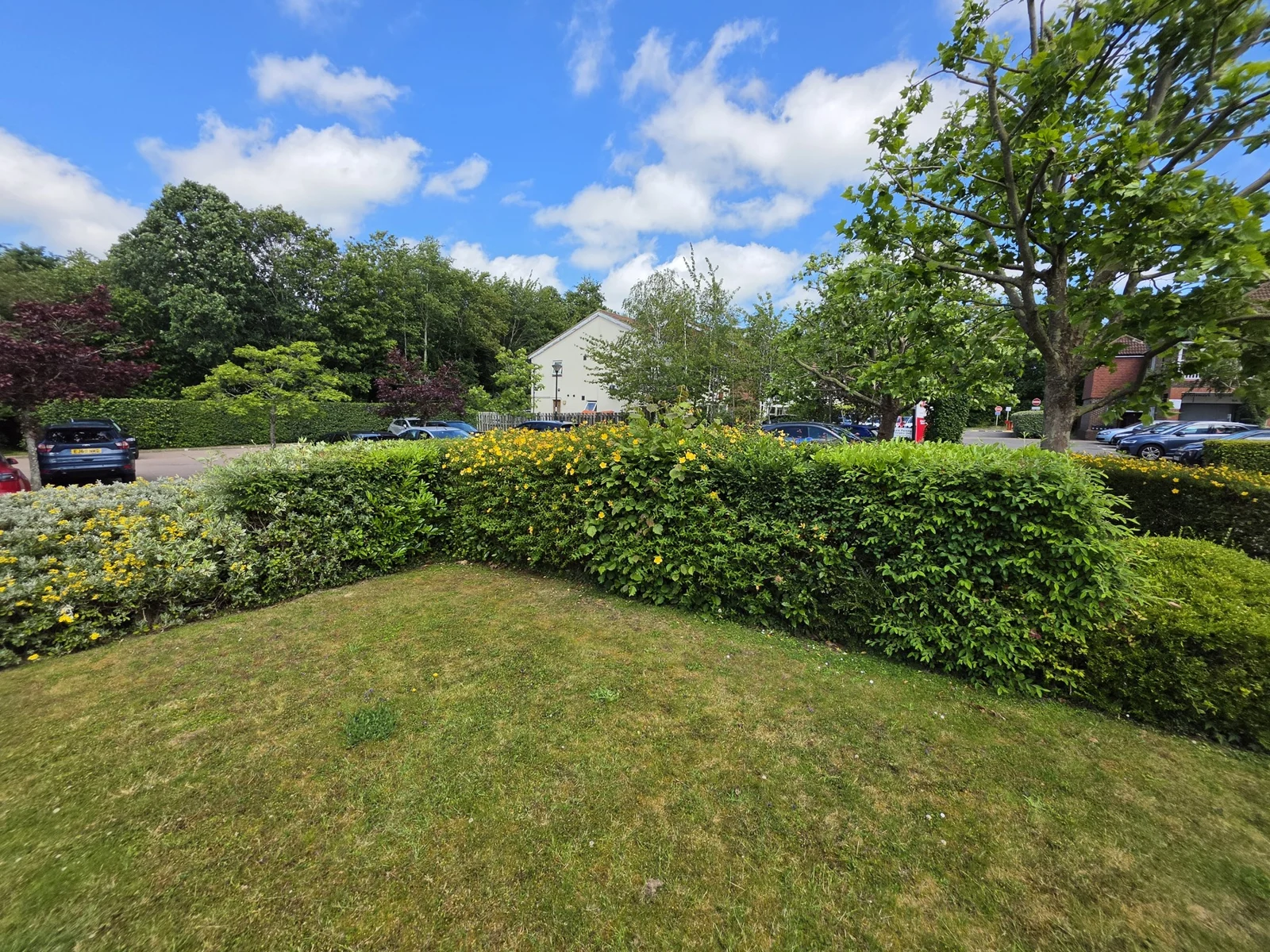 Clipped hedgerows and managed grassland recorded during a Leith survey